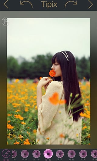 Tipix图4