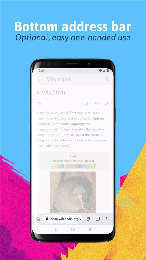 kiwi浏览器最新版图1
