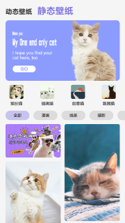 可爱喵喵壁纸大全图2