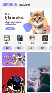 可爱喵喵壁纸大全图3