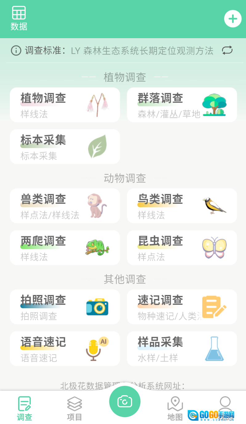 北极花生物调查图2