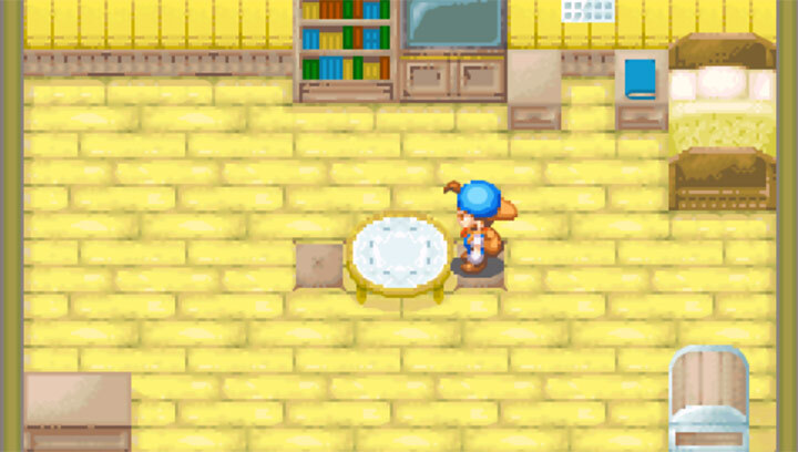 牧场物语矿石镇的伙伴们官方版图3