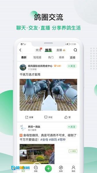中国信鸽信息网最新版图2
