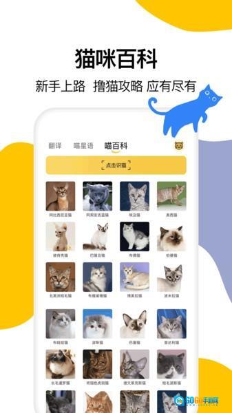 猫语翻译大全图1