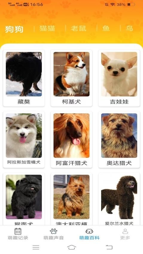 萌趣多多正版(2)