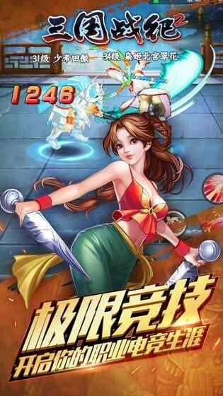 三国战记2图2