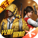 和平精英(国际服)