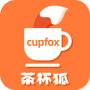 cupfox-茶杯狐