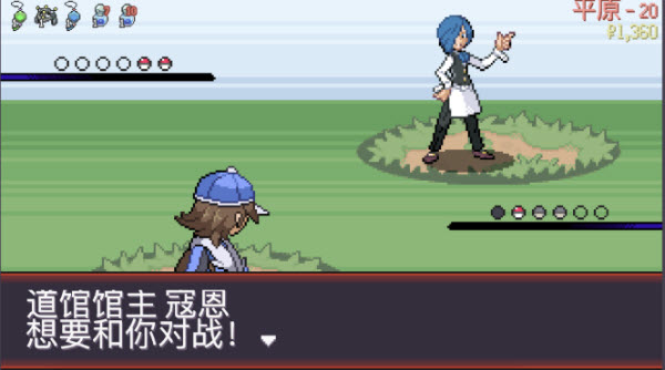 pokerogue官方版(9)