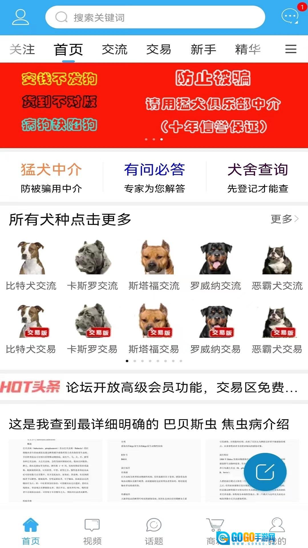 猛犬俱乐部图1