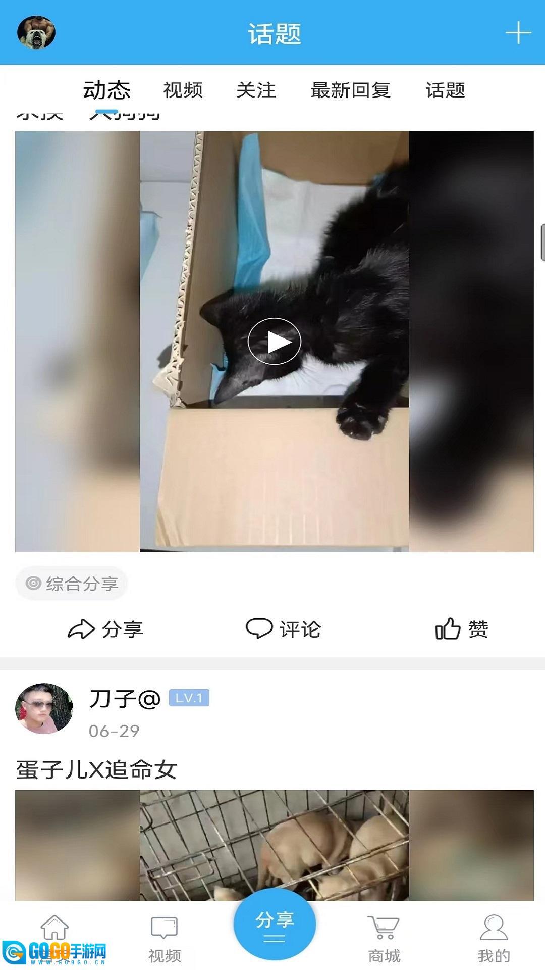 猛犬俱乐部图4