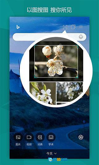 必应搜索国内版(2)