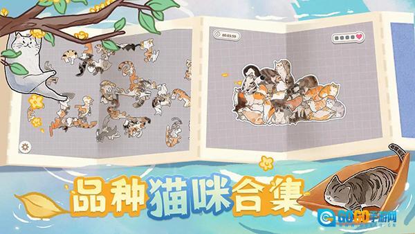 挤在一起的猫猫图1