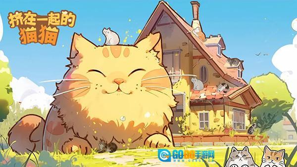 挤在一起的猫猫图3