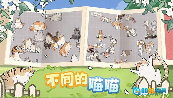 挤在一起的猫猫图2