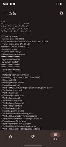 KernelSU中文版图2