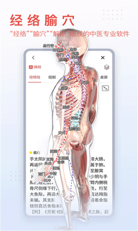 3dbody解剖(1)