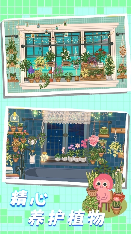 梦幻乐园-窗口放置花园图3