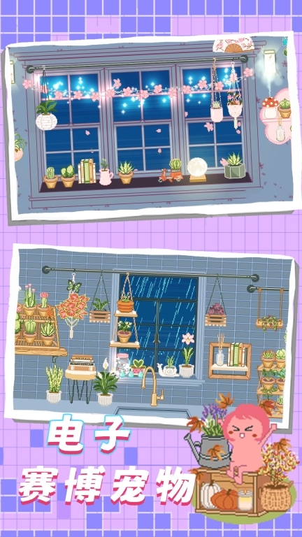 梦幻乐园-窗口放置花园图5