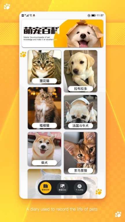 萌宠乐园-宠物记事助手图1