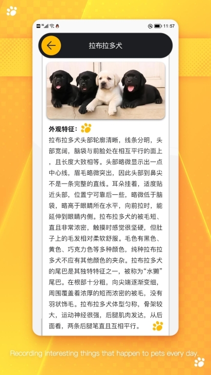 萌宠乐园-宠物记事助手图2