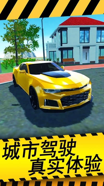 城市驾驶模拟器图1
