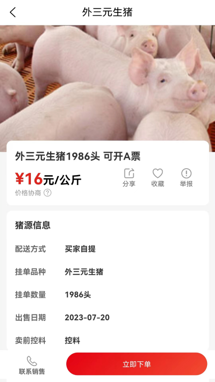 国家生猪市场图2