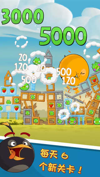 angrybird(1)