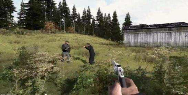 dayz图2