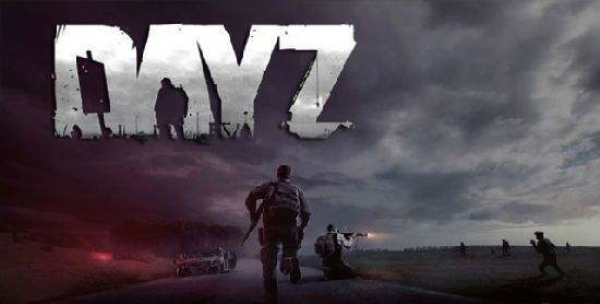 dayz图3