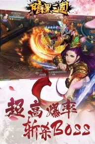 暗黑三国最新版(1)