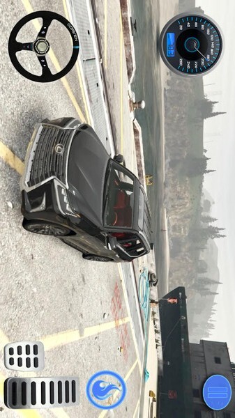 汽车模拟驾驶中文版(3)