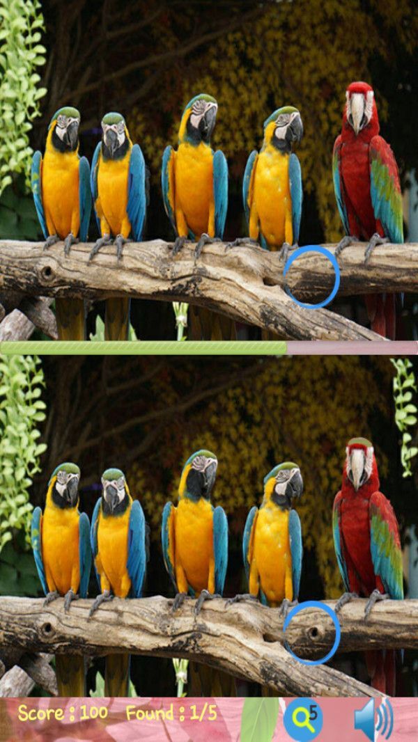 美女来找茬手机版(1)