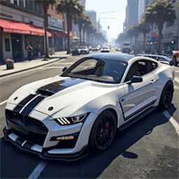 模拟开车 V1.2