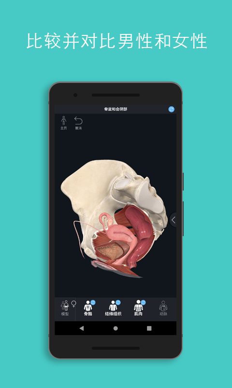 Complete Anatomy图2