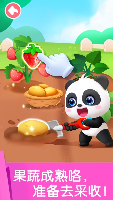 宝宝劳动小能手图4