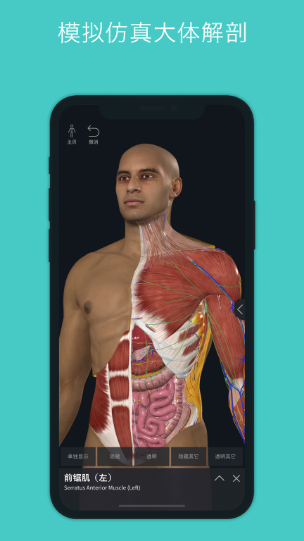 Complete Anatomy图3