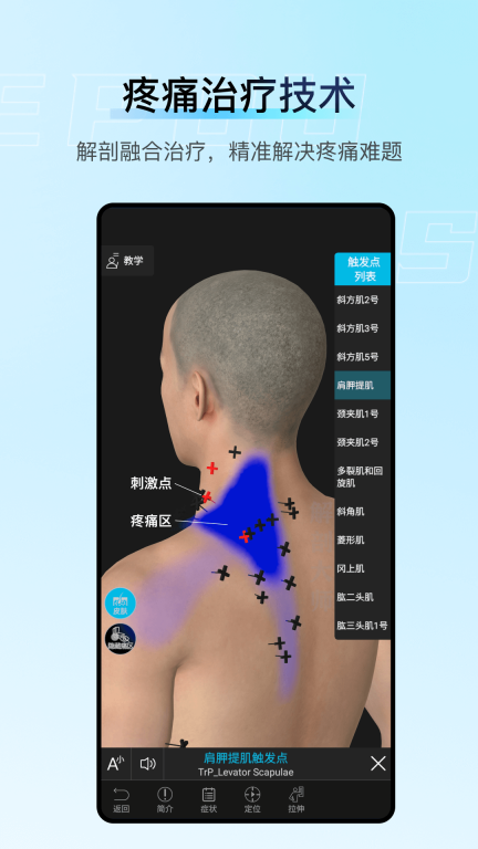 解剖大师-精细好用综合性3D解剖图2