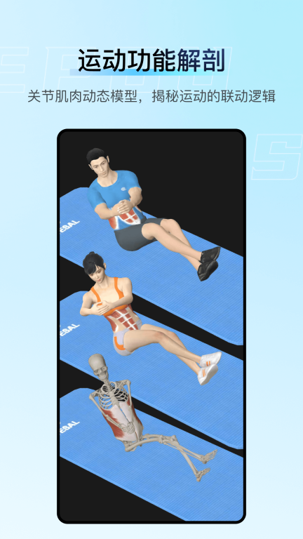 解剖大师-精细好用综合性3D解剖图3
