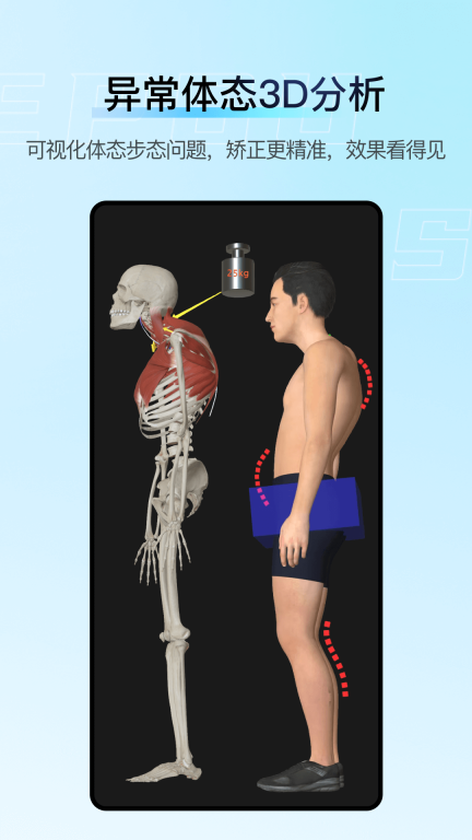 解剖大师-精细好用综合性3D解剖图4