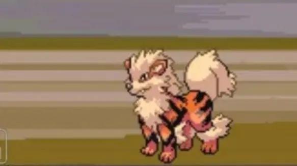 口袋妖怪绿宝石最新版(4)