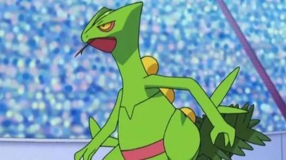 口袋妖怪绿宝石最新版(6)