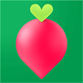 叮咚买菜官方版