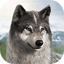 狼族崛起最新版