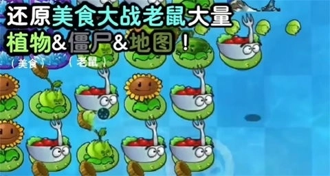 植物大战僵尸时空之乱版图2