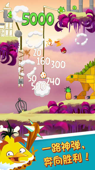 angrybird(4)
