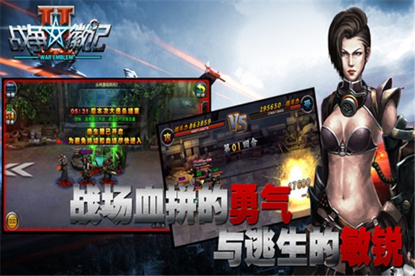 战争徽记2(3)