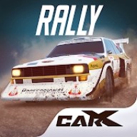 CarX拉力赛 V13503