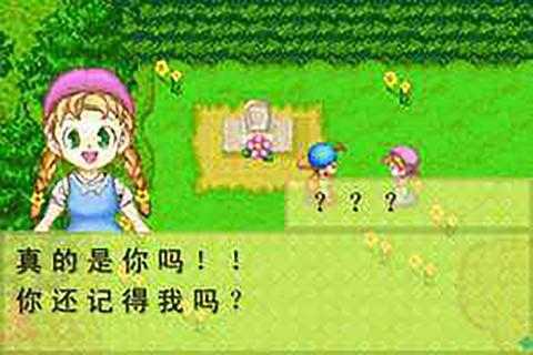 牧场物语中文版(2)