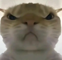 三角洲行动鼠鼠工具